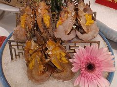 -喜聚薈·花膠雞海鮮火鍋(越秀店)