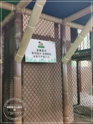 -绿野星空儿童乐园