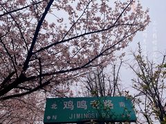 -老门东历史文化街区