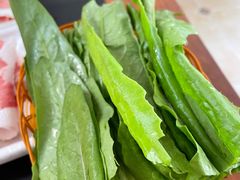 油麦菜-情忆草原涮肉馆