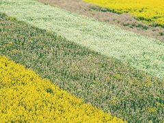 -中国天府农业博览园