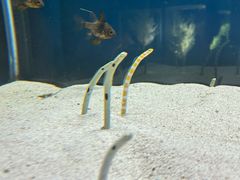 -欢乐海岸海洋奇梦馆
