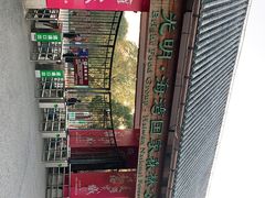 -上海海湾国家森林公园