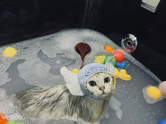 -拜鲁耶动物诊疗中心·宠家动物医院