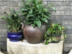 -老渔家鲜鱼轩(南浦横街店)