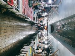 -大湾区中央湿地公园-十九涌