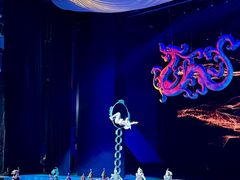 -水秀国际大剧院