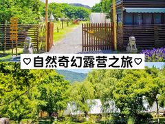 -白马涧龙池景区