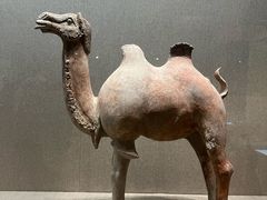 -敦煌市博物馆