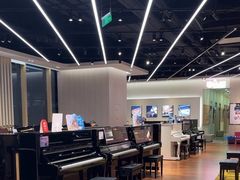 -知音艺术教育培训·钢琴培训·音乐培训(河西金鹰世界校区)