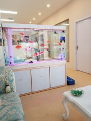 -痘庄科学祛痘国际连锁机构