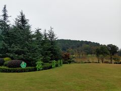 -铁山坪森林公园