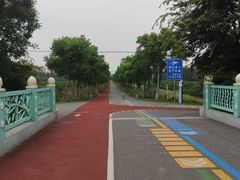 -上海长兴岛郊野公园