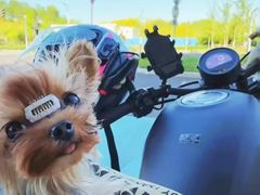 -小意思咖啡店(草桥店)