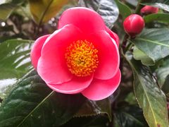 -广州神农草堂中医药博物馆