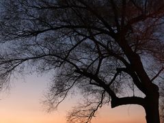 -长春市南湖公园