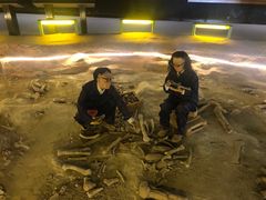 -二连浩特国家地质公园