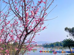 -枫香湖儿童公园