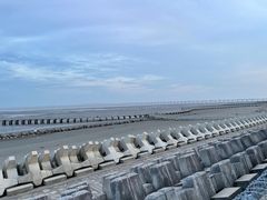 -南汇新城海滩