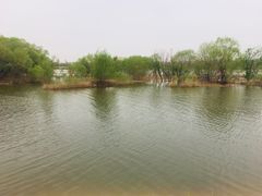 -灞河西岸滨河公园