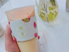 -树夏(鹭洲里店)