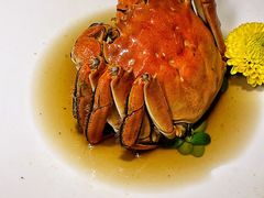 -淮食·雅宴(北大博雅国际酒店)