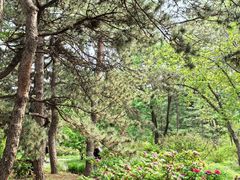 -国家植物园南园