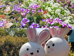 -上海共青森林公园