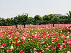 -南京邮电大学(仙林校区)