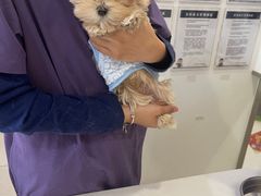 -萌兽医馆·眼科·异宠专科(三里屯店)