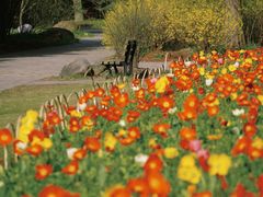 -上海共青森林公园