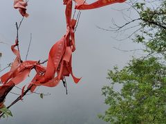 -腾冲云峰山