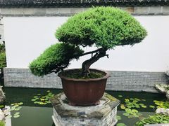 -水绘园