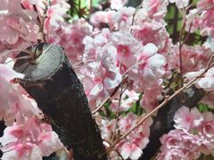 -学习谷日语培训日本留学·多语种外语教学(海淀人大分部)