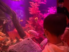 -沈阳海洋探索中心