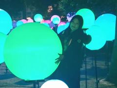 -锦江乐园舞狸花花游园会(夜场专享)