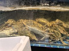 -渔满仓海鲜渔家(象山二店)