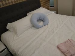 -海豚湾高端月子会所(黄浦店)