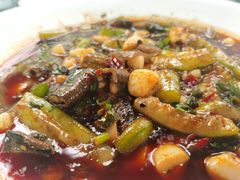 -夜不收荤豆花(大邑总店)