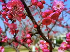 -玄武湖景区-情侣园游乐场