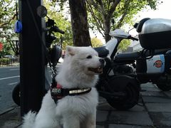 -珊珊小笼馆(仙霞路店)