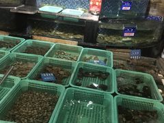 -浩运·海鲜青岛菜·海胆水饺(石老人店)