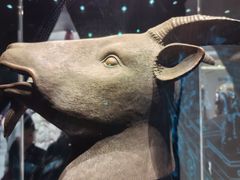 -北京世纪金源购物中心(远大路店)