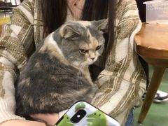 -藦茜花园宠物主题亲子互动体验馆(国顺东路店)