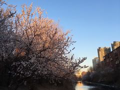 -茶花妹子云南餐厅(传媒大学店)