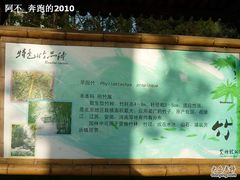 -紫竹院公园冰场