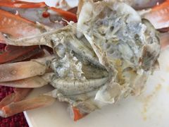 -视界美食自助餐厅·石家庄希尔顿酒店