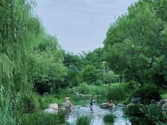 -郑州植物园
