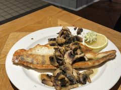 -NORDSEE Frankfurt Fisch Franke