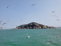 -海驴岛(荣成市)